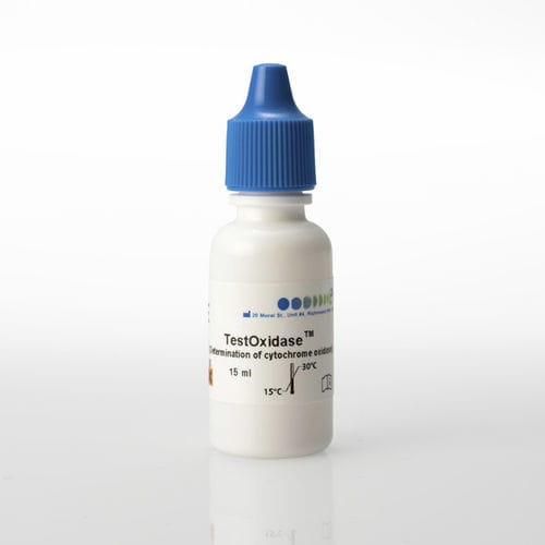 Экспресс-тест на инфекционные заболевания - TestOxidase™ - PRO - LAB Diagnostics Ltd. - цитохромоксидаза / бактерии