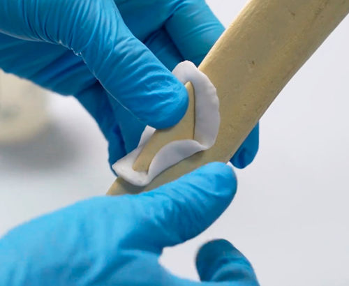 Костный заменитель для животных синтетическая кость - RB031 - JZ Biotech - гибкий