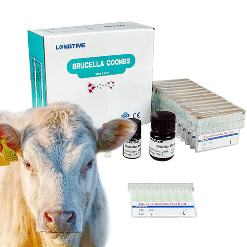 Набор для теста на инфекционные заболевания - Zhuhai Longtime Biological Technology Co., Ltd. - для животных / бактерии / на бруцеллу