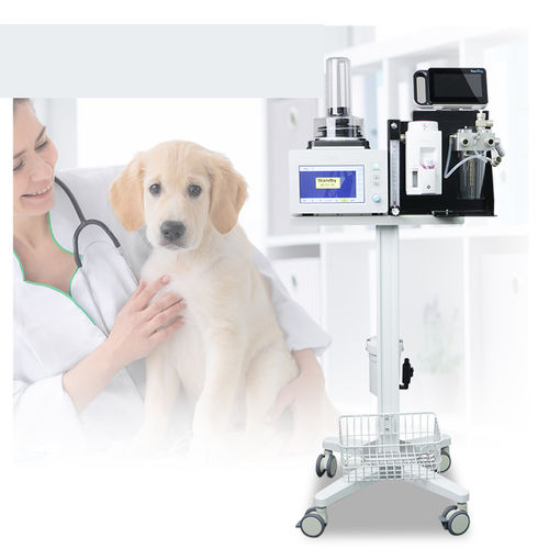 Ветеринарная установка для анестезии для исследования животных - VET-VT - Olive - для небольших животных / для крупных животных / на тележке