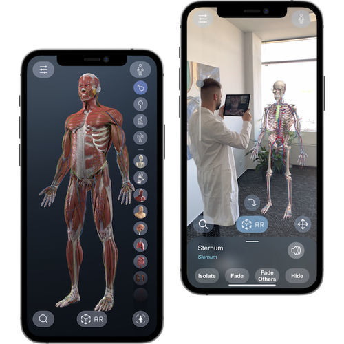 Иммерсивная платформа виртуальной реальности - Human Anatomy VR - Virtual Medicine - медицинская / для медицинских курсов