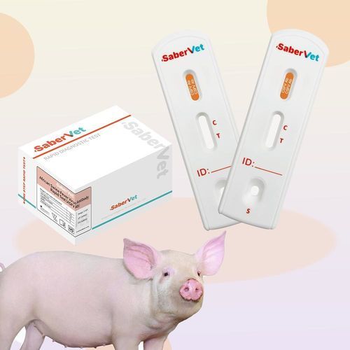 Экспресс-тест на инфекционные заболевания - SaberVet CSFV Ab - Hangzhou Antigenne Technology Co. Ltd - ветеринарный / для свиней / для вируcов
