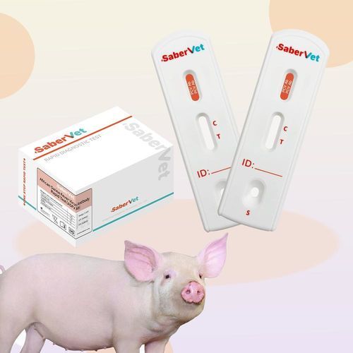 Экспресс-тест на инфекционные заболевания - SaberVet PCV Ab - Hangzhou Antigenne Technology Co. Ltd - ветеринарный / для свиней / цирковирус свиней