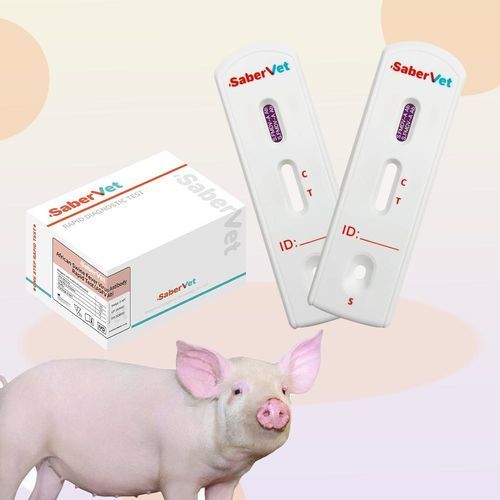 Экспресс-тест на инфекционные заболевания - SaberVet S.FMDV-A - Hangzhou Antigenne Technology Co. Ltd - ветеринарный / для свиней / для вируcов