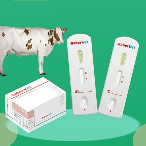 Экспресс-тест на инфекционные заболевания - SaberVet FMDV-A Ab - Hangzhou Antigenne Technology Co. Ltd - ветеринарный / для крупного рогатого скота / для вируcов