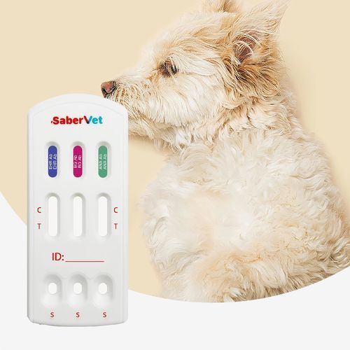 Экспресс-тест на инфекционные заболевания - Sabervet EHR/BG/ANA Ab - Hangzhou Antigenne Technology Co. Ltd - ветеринарный / для собак / на эрлихиоз
