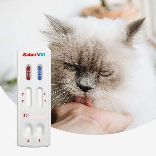 Экспресс-тест на хламидию (Chlamydia) - SaberVet FHV/FCV Ag - Hangzhou Antigenne Technology Co. Ltd - ветеринарный / для кошек / Bordetella bronchiseptica