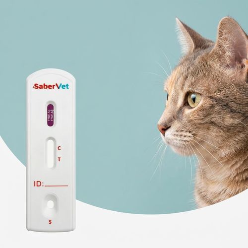 Экспресс-тест на дирофиляриоз - SaberVet FHW Ag - Hangzhou Antigenne Technology Co. Ltd - ветеринарный / для кошек / на антигены