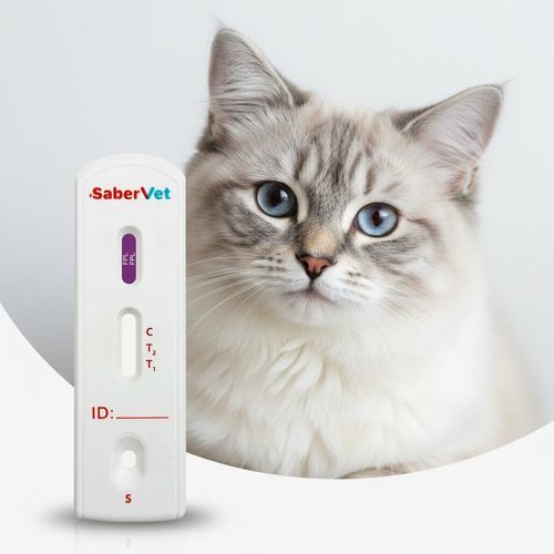 Экспресс-тест для воспалительных заболеваний кишечника - Sabervet FPL - Hangzhou Antigenne Technology Co. Ltd - ветеринарный / для кошек / на липазу
