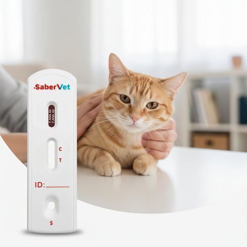 Ветеринарный экспресс-тест - SaberVet F.ANA - Hangzhou Antigenne Technology Co. Ltd - на инфекционные заболевания / для кошек / для антитела