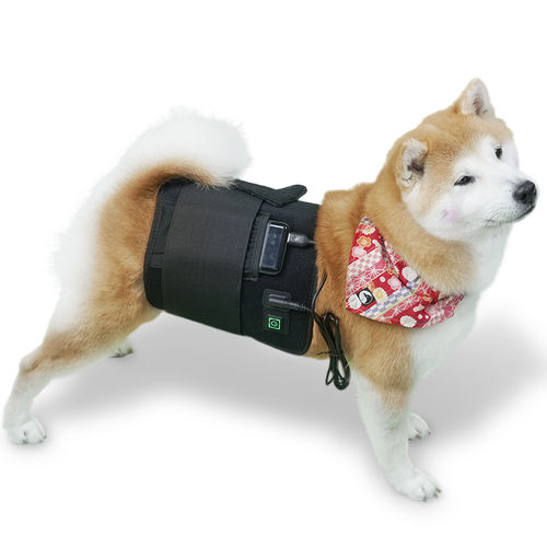 Лазер для ветеринарной фотостимуляции для домашних животных - LED-Wrap - Hubei Theypet Technology - для лошади / носимый