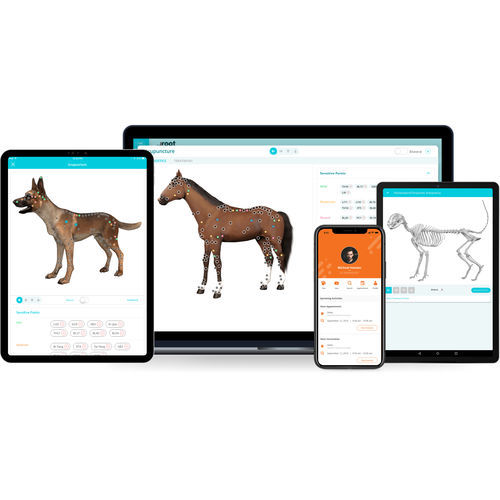 Медицинское программное обеспечение - AcuroVet® - ArcNovo Tech - TEP / ветеринарное / для управления