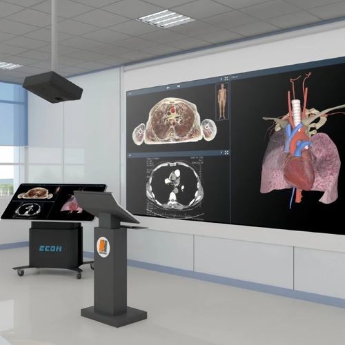 Полуиммерсивная платформа виртуальной реальности - ECDH-Int CAT - Shandong Digihuman Technology CO., Inc. - 3D / медицинская / с виртуальным пациентом