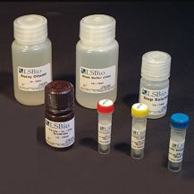 Набор для теста для исследований - LS-K302 - LifeSpan BioSciences - для исследований в области медикаментов / глицерола / триглицериды