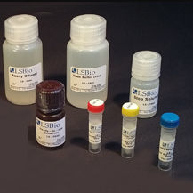 Набор для теста холестерина - LS-K304 - LifeSpan BioSciences - для исследований / фармакологический / NAD