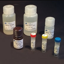 Набор для теста креатинин - LS-K318 - LifeSpan BioSciences - для исследований / фармакологический / альбумин