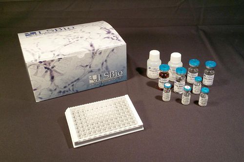 Набор для теста для исследований - LS-F15897 - LifeSpan BioSciences - ELISA / лиофилизированный / по индивидуальному заказу
