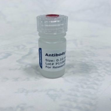 Реактив поликлональное антитело - CAU21003 - Biomatik - для исследований / жидкость / для протеинов