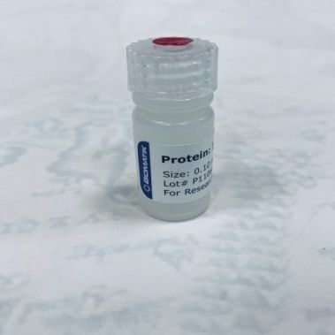 Реактив в растворе - RPU40004 - Biomatik - для исследований / лиофилизированный / для протеинов