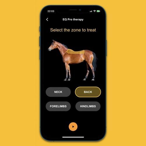 Мобильное приложение кинезитерапия - EQ Veterinary Technologies - для лошади / для контроля / для обработки