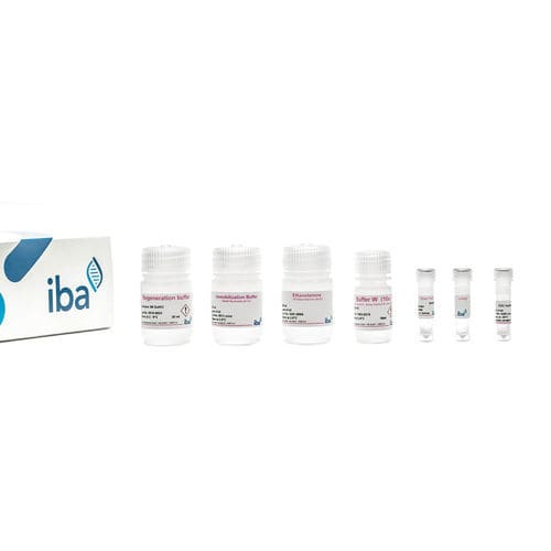 Набор реактивов в растворе - Strep-Tactin®XT  BLI  - IBA Lifesciences GmbH - буферный раствор / для анализа протеинов