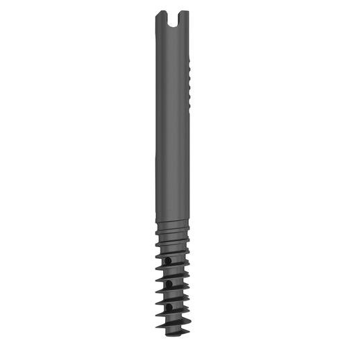 Компрессирующий винт для кости бедренная кость - 305042 series - Boneunion Medical - из титана