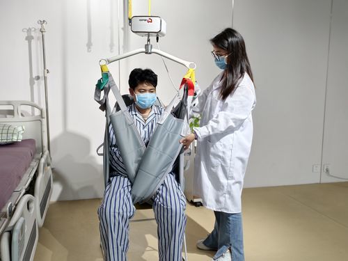 Ручной подъемник для пациентов - MD-T-200 - Shanghai Meddo Medical Devices Co., Ltd. - электрический / на аккумуляторе / потолочный