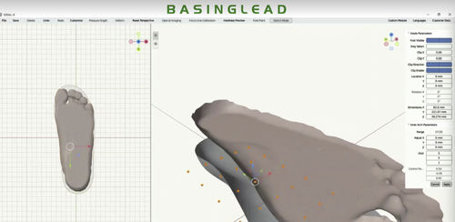 Программное обеспечение для печати 3D - CAD/CAM Design Software - BASINGLEAD - медицинское / CAO / для разработки ортопедических стелек