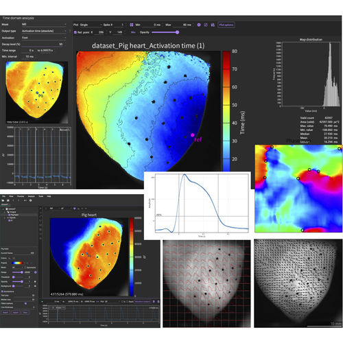 Программное обеспечение для анализа - BV Workbench  - Brainvision - SciMedia - анализа данных / клеточной визуализации / для сердца