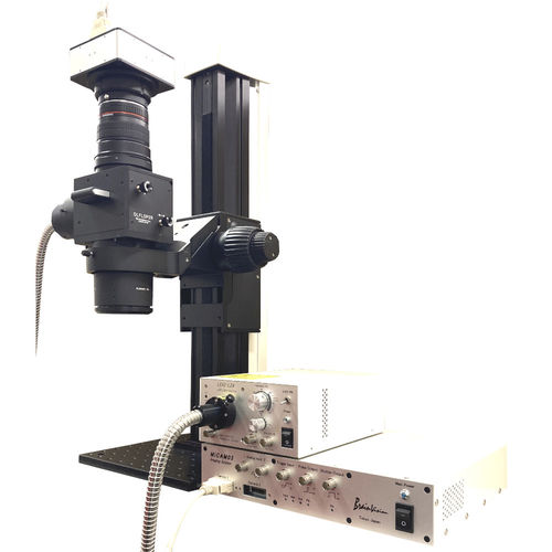 Оптический модуль микроскопа - THT Mesoscope - Brainvision - SciMedia - для лабораторий / биологически чистый / прямой