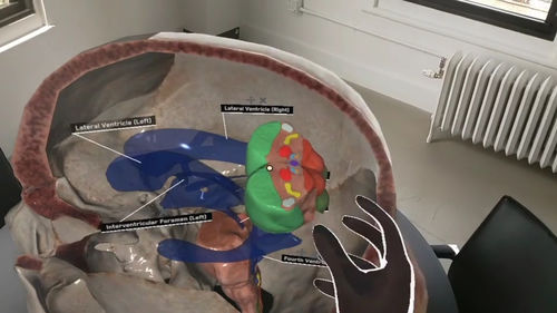 Иммерсивная платформа виртуальной реальности - AnatomyX® - MEDIVIS - медицинская / для медицинских курсов