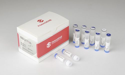 Набор реактивов в растворе - PANAMutyper™ R - HLB PANAGENE Co., Ltd. - на рак легких / свинцовый / EGFR