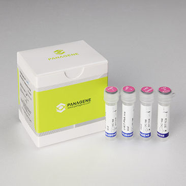 Набор для теста на раковые опухоли - PNAClamp™ - HLB PANAGENE Co., Ltd. - для онкологии / ткани / для СМЖ в режиме реального времени