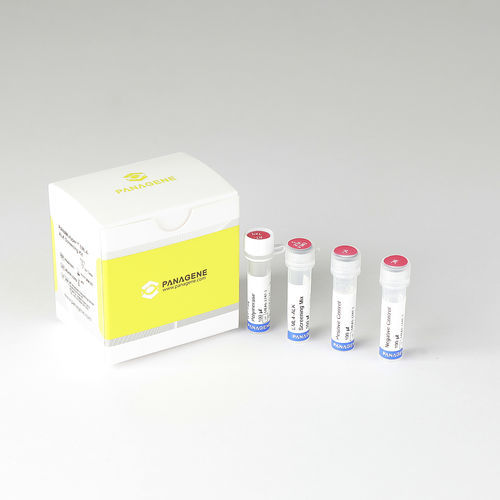 Экспресс-тест на рак легких - PANAMutyper™ - HLB PANAGENE Co., Ltd. - ген слияния EML4-ALK / для тканей FFPE