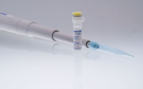 Реактив в растворе - 4you4 - BIORON GmbH - раствор dNTP / раствор дезоксинуклеотидов / для PCR