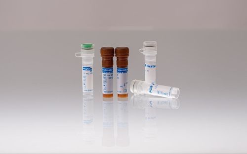 Реактив фермент - 128705 - BIORON GmbH - в растворе / ДНК-полимераза / раствор dNTP