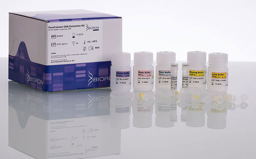 Набор реактивов лизоцим - PureColumn - BIORON GmbH - для PCR / извлечение ДНК / в форме порошка