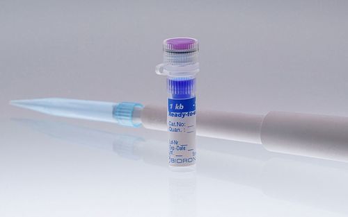 Реактив ДНК-диагностика - 305120 - BIORON GmbH - загрузочный буфер / для электрофореза / для анализов ДНК