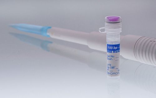 Реактив ДНК-диагностика - 304120 - BIORON GmbH - для электрофореза / для диагностики / для анализов ДНК