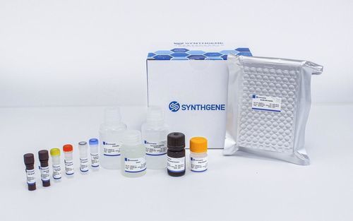 Набор для теста для исследований - DS0001 - BIORON GmbH - для контроля качества / ELISA