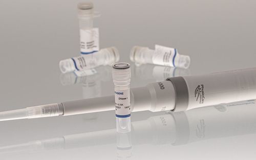 Реактив фермент - 10211 series - BIORON GmbH - для очистки РНК / для очистки ДНК / для синтеза РНК