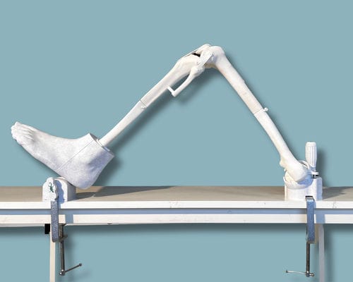 Анатомическая модель для колена - 04-25-01 - ADDIDREAM - ступни / для ортопедической хирургии / учебная