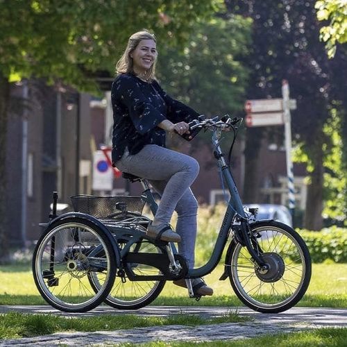 Ортопедический трехколесный велосипед с педалями - 336-0000 - Van Raam - для взрослых / синяя / серая
