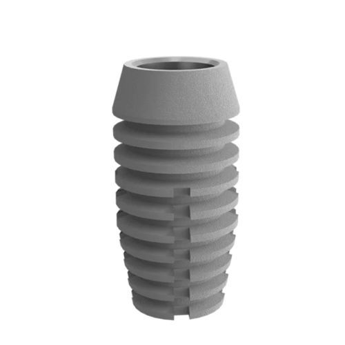 Конический зубной имплантат - 2.5 well  - DentalMaster (Xiamen) Medical Technology Co., Ltd - из титана / внутренний / анатомический