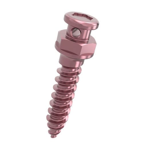 Мини-имплантат из титана - 701831 series - DentalMaster (Xiamen) Medical Technology Co., Ltd - конический / прямой / винтовой