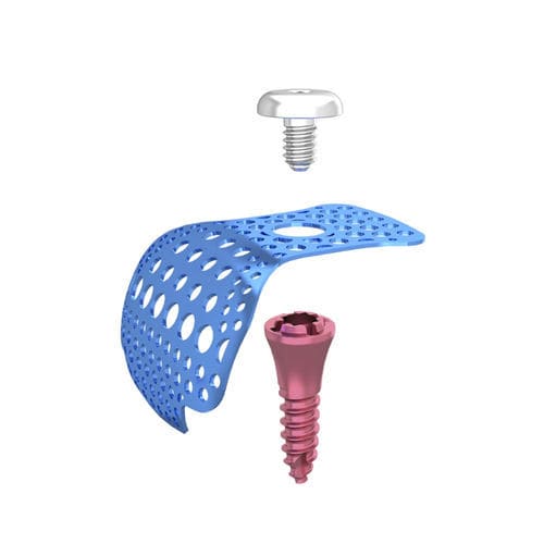 Винт для трансфиксации из титана - DentalMaster (Xiamen) Medical Technology Co., Ltd - винтовой / гладкий