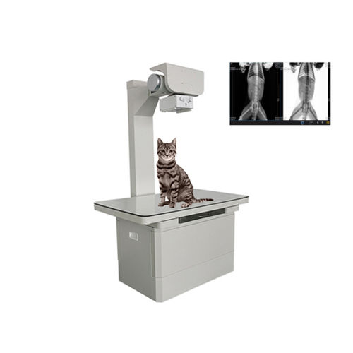 Цифровой ветеринарная рентгеновская система - Shandong Newheek Image Equipment