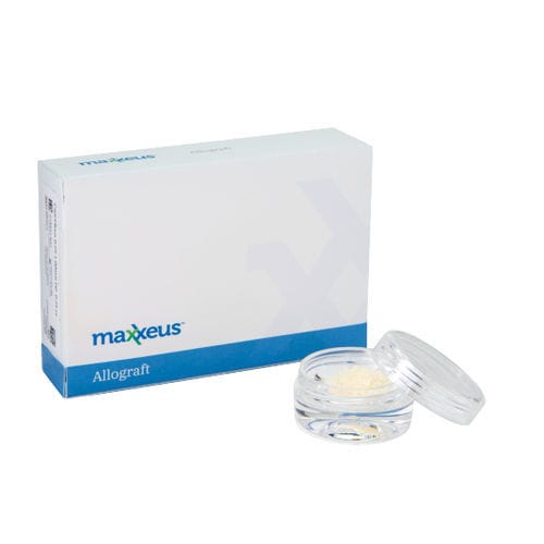 Костный заменитель аллогенный трансплантат - DM005 - Maxxeus - для ортопедической хирургии / гранулированный