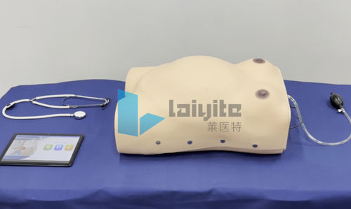 Учебный медицинский симулятор - Nanjing Laiyite Electronic Technology Co., Ltd - акушерский/гинекологический / для оказания общей помощи