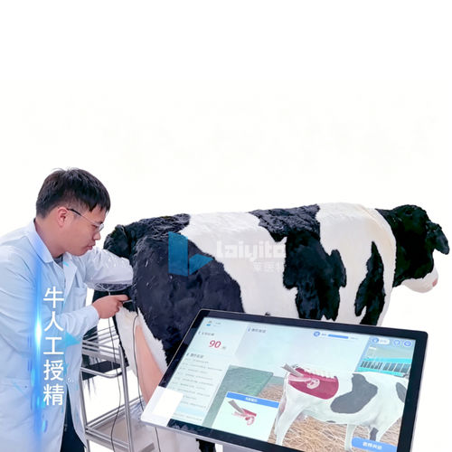 Медицинский симулятор для RCP - Nanjing Laiyite Electronic Technology Co., Ltd - учебный / для технического обслуживания / хирургический